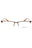 3004 - BROWN/clear demo lens