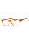 6203 - Shiny Havana Brown/Clear demo lens