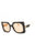 079U 70 - MUD/BROWN