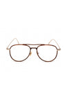 048 - Shiny Dark Brown / Clear Lens