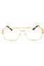 1002 - Gold/Clear demo lens