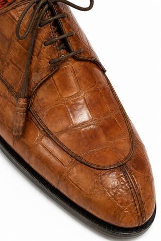 Fennix Benjamin Alligator Derby