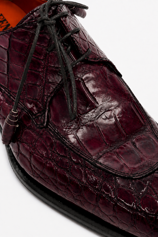 Fennix Benjamin Alligator Derby