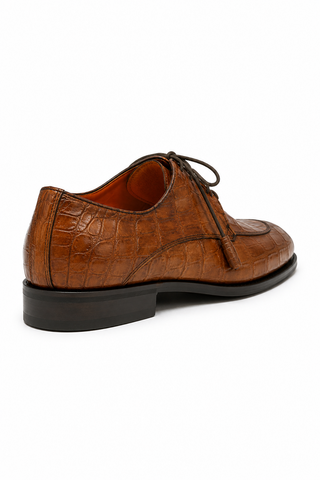 Fennix Benjamin Alligator Derby