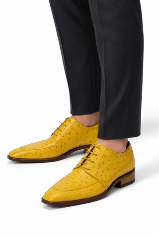 Fennix Charles Ostrich Derby