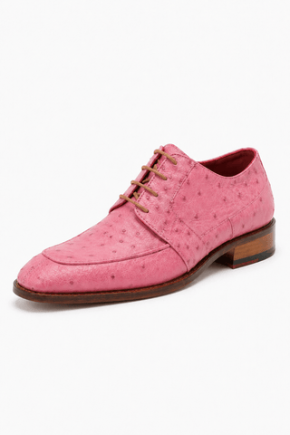 Fennix Charles Ostrich Derby