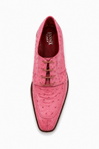 Fennix Charles Ostrich Derby