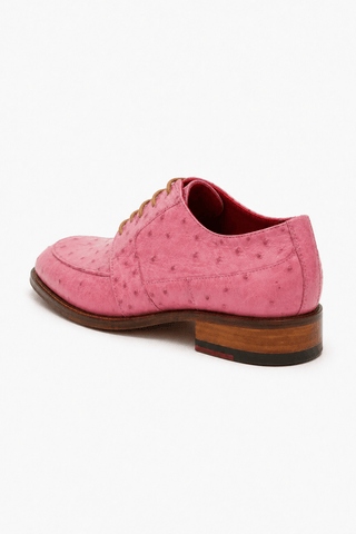 Fennix Charles Ostrich Derby