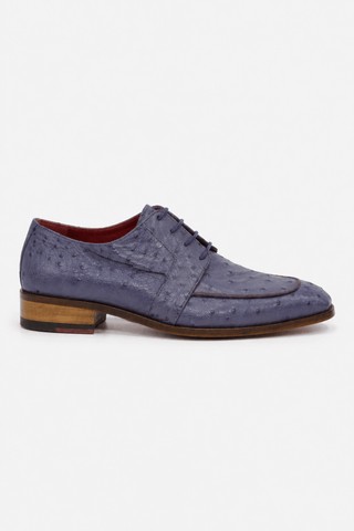 Fennix Charles Ostrich Derby