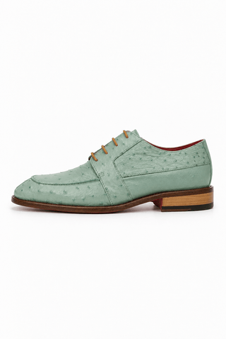Fennix Charles Ostrich Derby