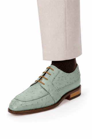 Fennix Charles Ostrich Derby