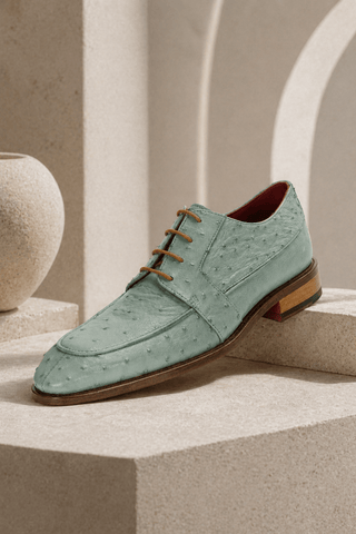 Fennix Charles Ostrich Derby