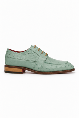 Fennix Charles Ostrich Derby