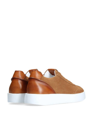 Franceschetti Alessio Suede Sneakers (FCCT1054)-AmbrogioShoes