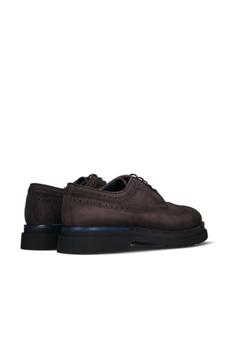 Franceschetti Bienna Suede Wing-Tip Derby (FCCT1134)