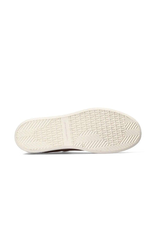 Franceschetti Edoardo Suede Sneaker-AmbrogioShoes