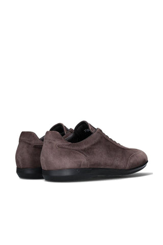 Franceschetti Venezia Suede Sneaker-AmbrogioShoes