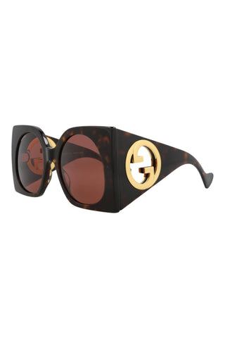 Gucci  Dark Havana Sunglasses