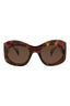 20355 - Havana Havana Brown