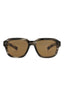 20355 - Havana Havana Brown
