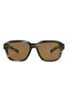 20355 - Havana Havana Brown