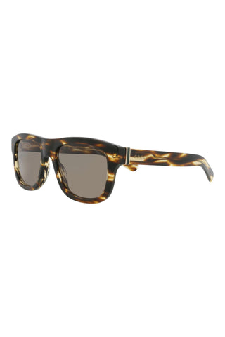 Gucci  Striped Dark Havana Sunglasses