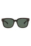 20012 - Brown Brown Green