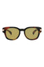 20355 - Havana Havana Brown