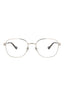 00287 - Silver Silver Transparent