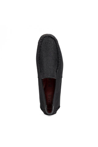 Grecco Stingray Driver - Black-Dellamoda