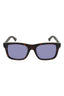 20348 - Havana Brown Blue