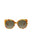 20849 - Havana Havana Brown