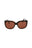 20355 - Havana Havana Brown