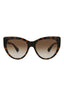 20355 - Havana Havana Brown