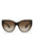 20355 - Havana Havana Brown