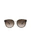 20355 - Havana Havana Brown