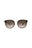 20355 - Havana Havana Brown