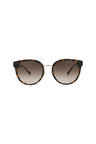 20355 - Havana Havana Brown