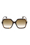 002 - Havana / Brown Gradient
