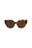 20355 - Havana Havana Brown