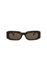 20355 - Havana Havana Brown