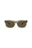 20355 - Havana Havana Brown