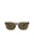 20355 - Havana Havana Brown
