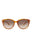 20355 - Havana Havana Brown
