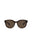 20355 - Havana Havana Brown