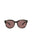 20355 - Havana Havana Brown