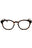 005 - Shiny Dark Havana