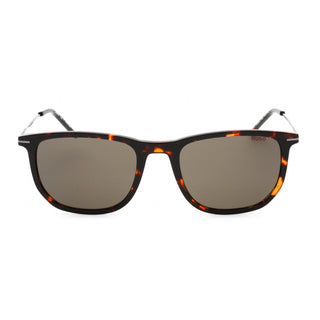 HUGO HG 1204/S Sunglasses Havana / Grey-AmbrogioShoes