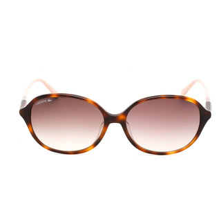 Lacoste L854SA Sunglasses Havana / Brown Gradient Women's-AmbrogioShoes