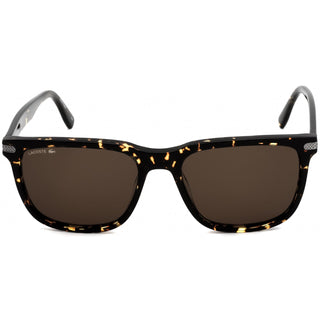 Lacoste L898S Sunglasses HAVANA / Brown-AmbrogioShoes